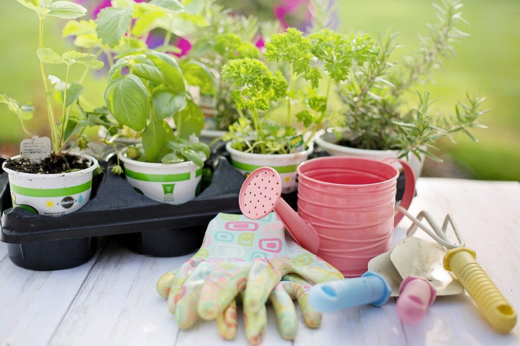 Kinder Kräutergarten Familien Alltag